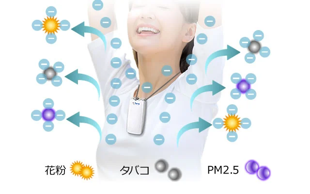 GA[EeC}[ Z zCg ^oR̉EԕEPM2.5C[Wʐ^ (1)