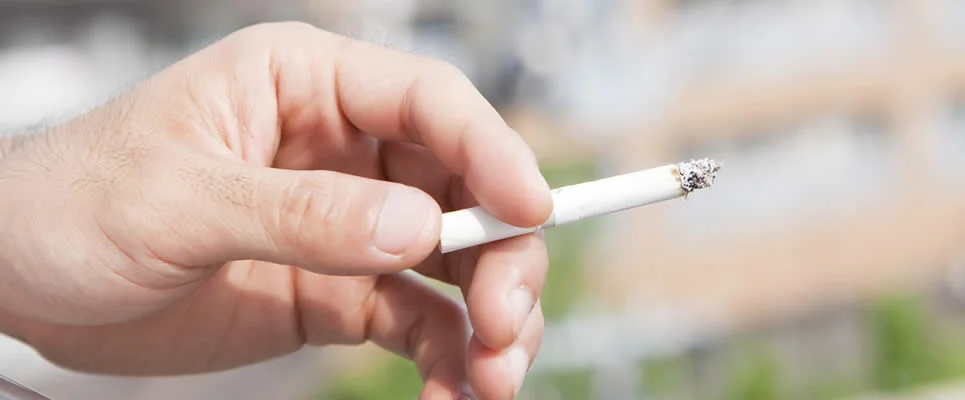 �x�����_�ł̋i�����i