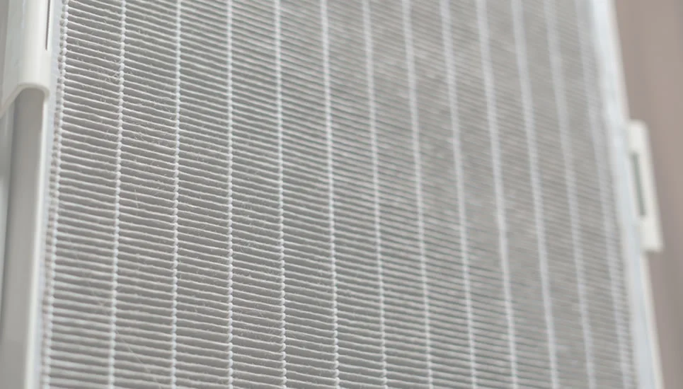 ���ꂽ�t�B���^�[�̎ʐ^