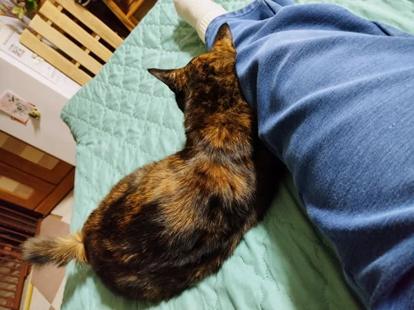 ��t�� K.U �l���񋟂̎g�p���̎ʐ^(2)